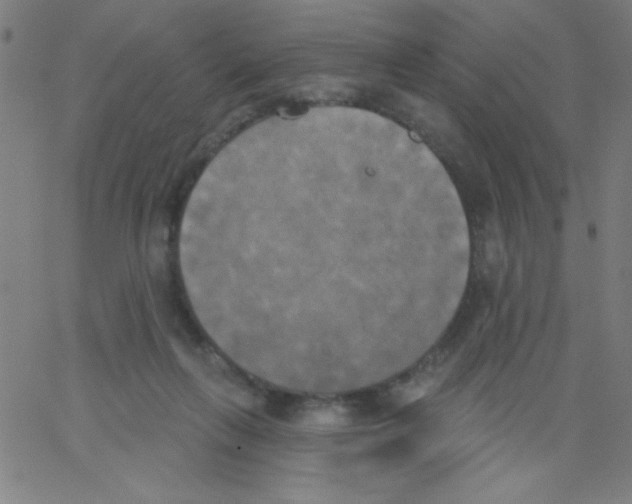 X0000067390263200604281850