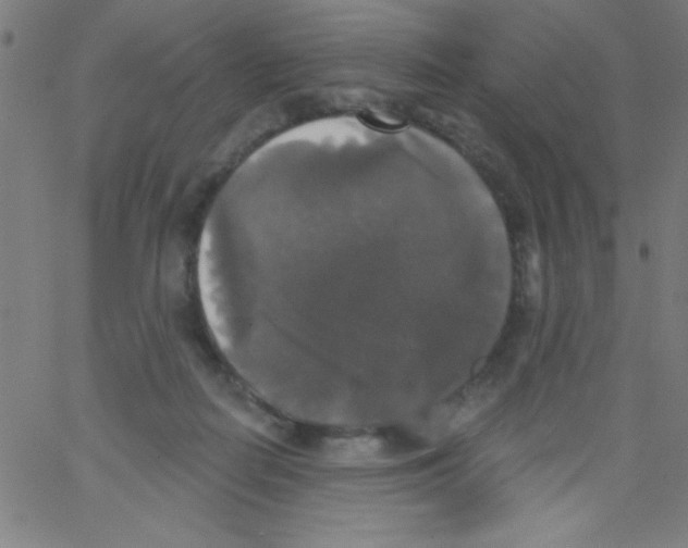 X0000067390266200604281850