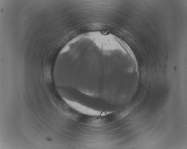 X0000067390267200604281850