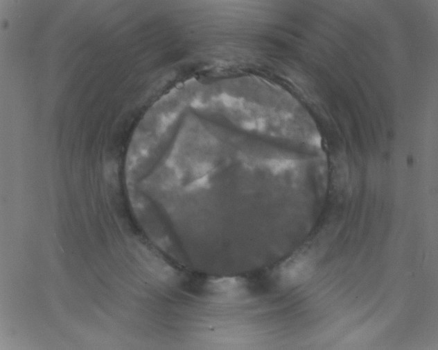 X0000067390269200604281850