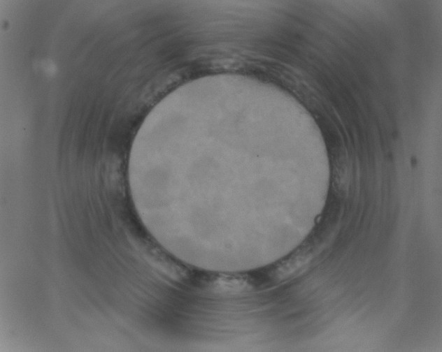 X0000067390270200604281850