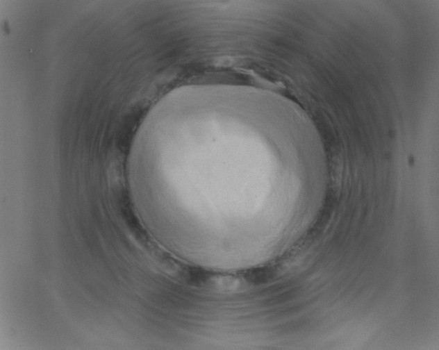 X0000067390272200604281850