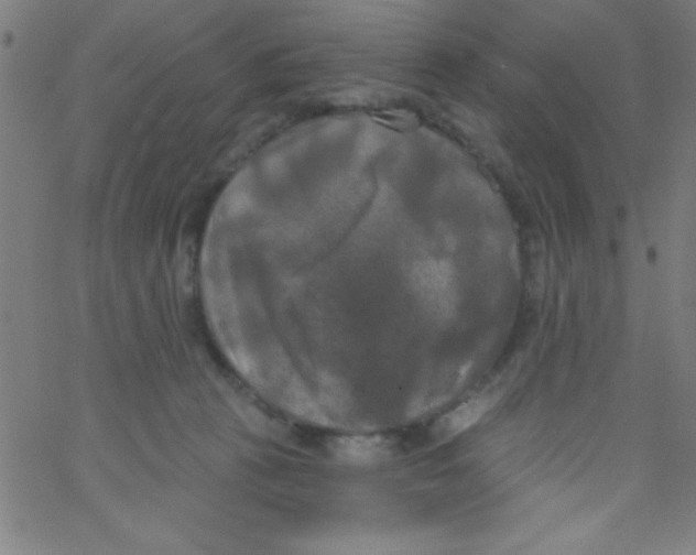 X0000067390273200604281850