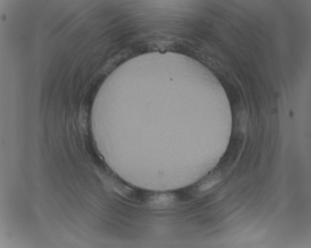 X0000067390274200604281850