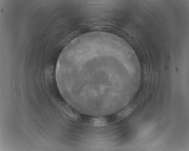 X0000067390275200604281850