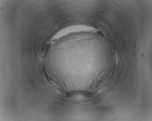 X0000067390276200604281850