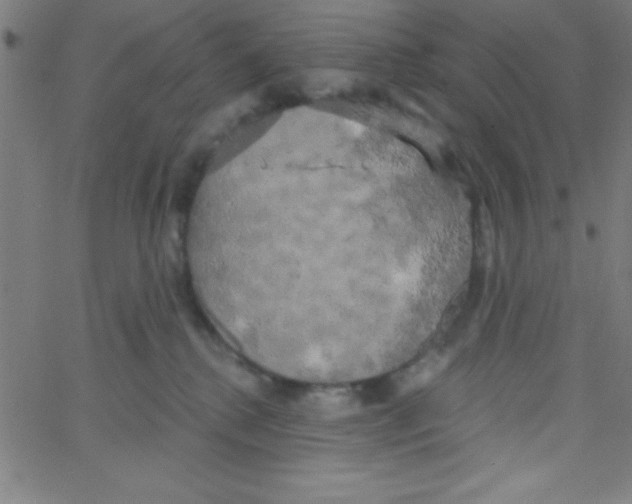 X0000067390280200604281850