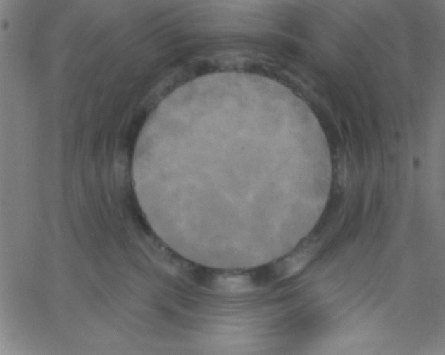 X0000067390283200604281850