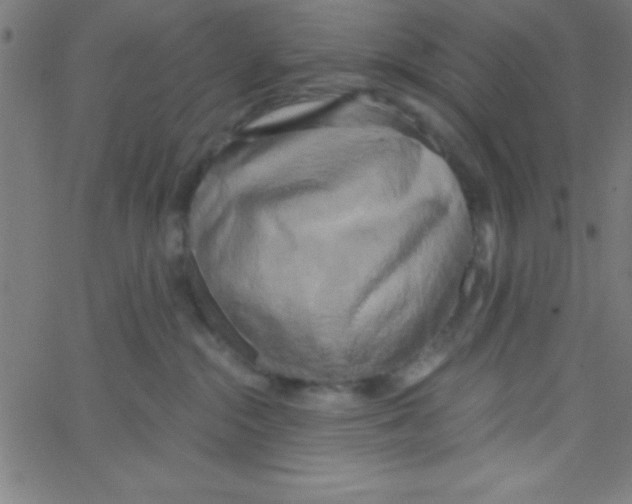 X0000067390284200604281850