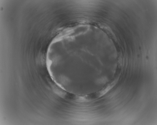 X0000067390285200604281850