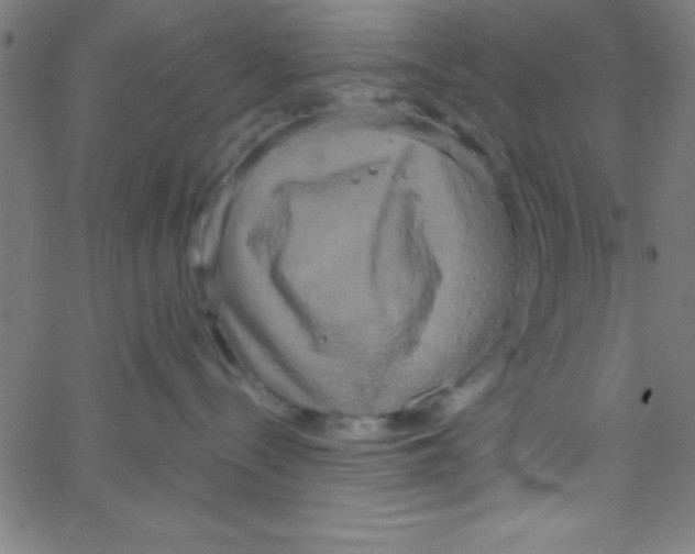 X0000067390288200604281850