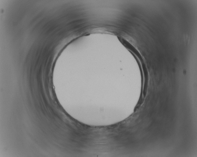 X0000067390289200604281849