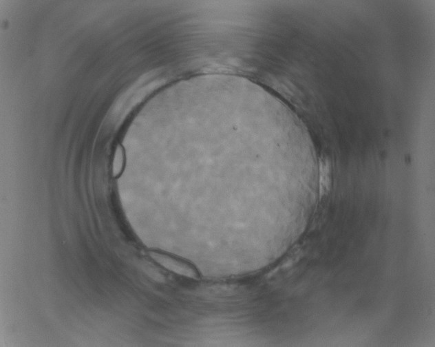 X0000067390291200604281849