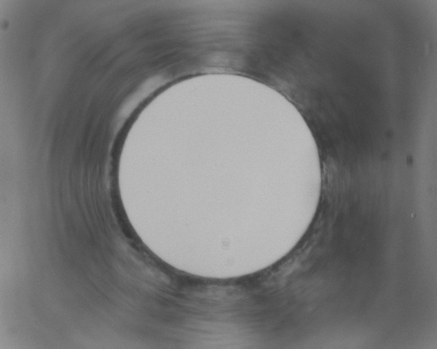 X0000067390292200604281849