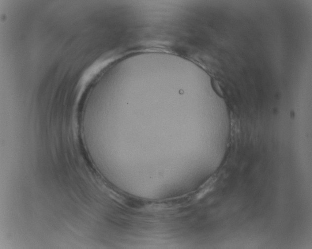 X0000067390294200604281849