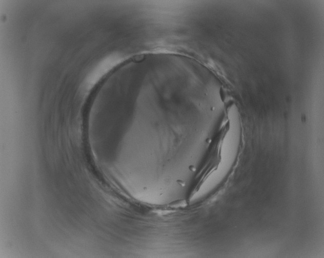 X0000067390295200604281849