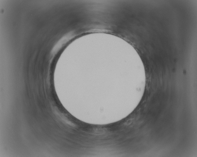 X0000067390296200604281849