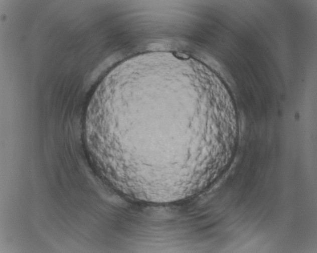 X0000067390297200604281849