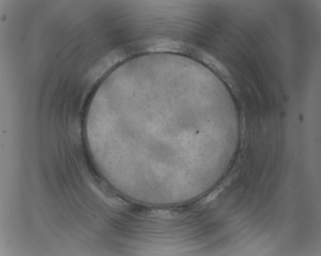 X0000067390298200604281849