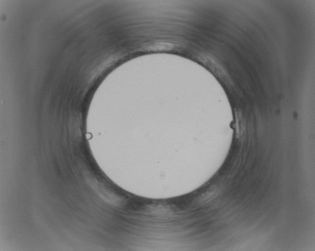 X0000067390300200604281849