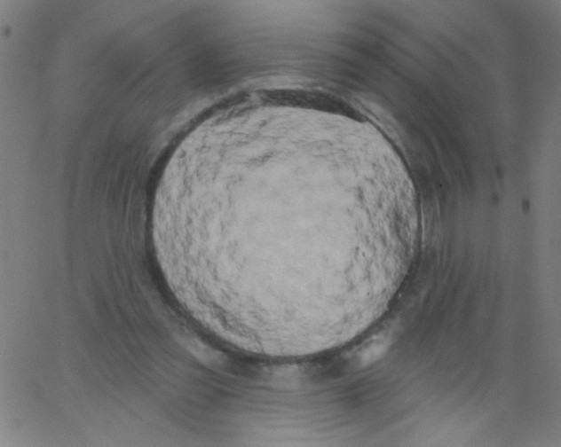 X0000067390301200604281849