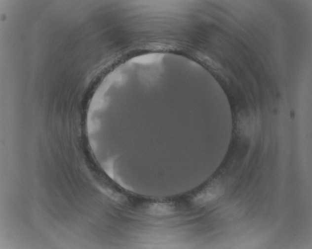 X0000067390303200604281849