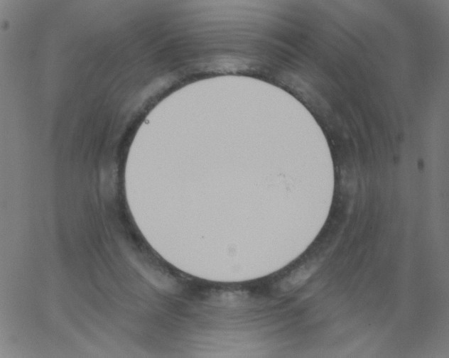 X0000067390304200604281849