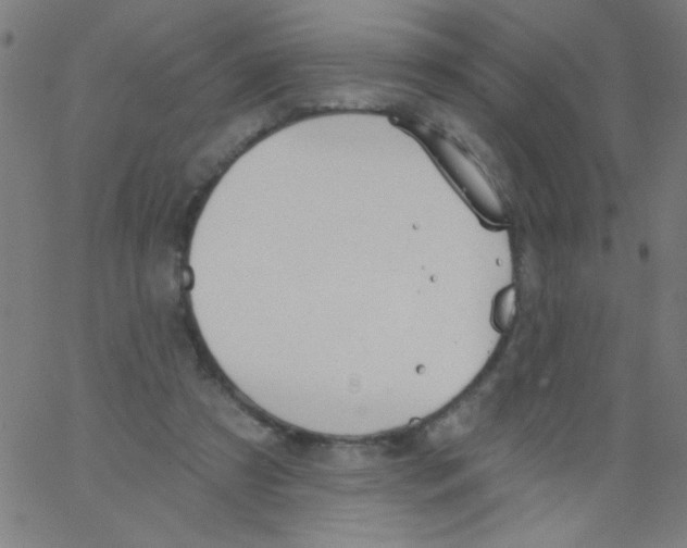 X0000067390305200604281849