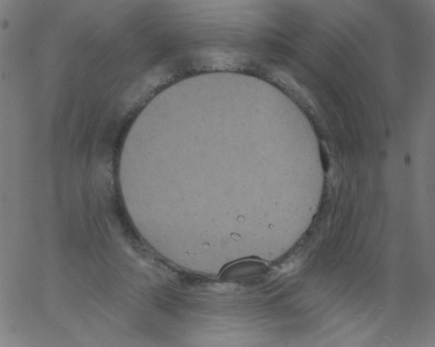 X0000067390306200604281849