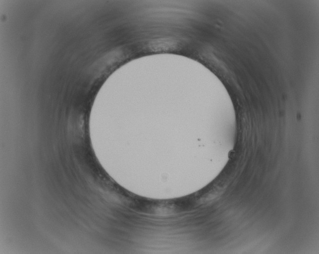 X0000067390308200604281849