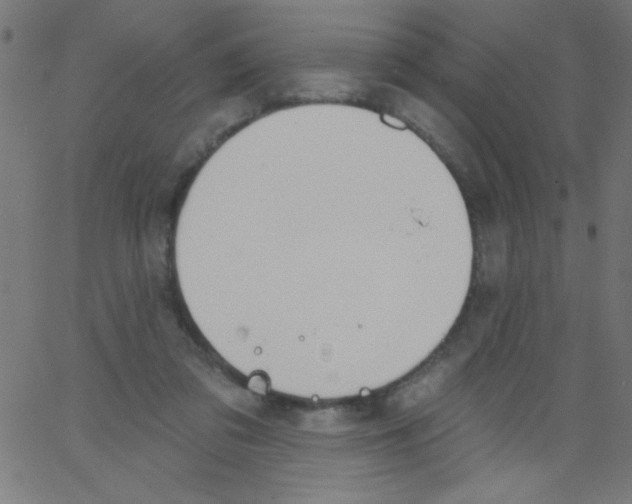 X0000067390309200604281849