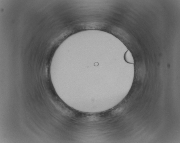 X0000067390310200604281849