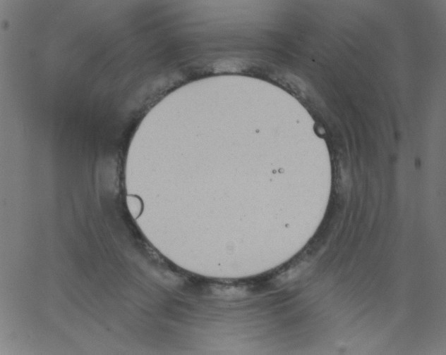 X0000067390311200604281849