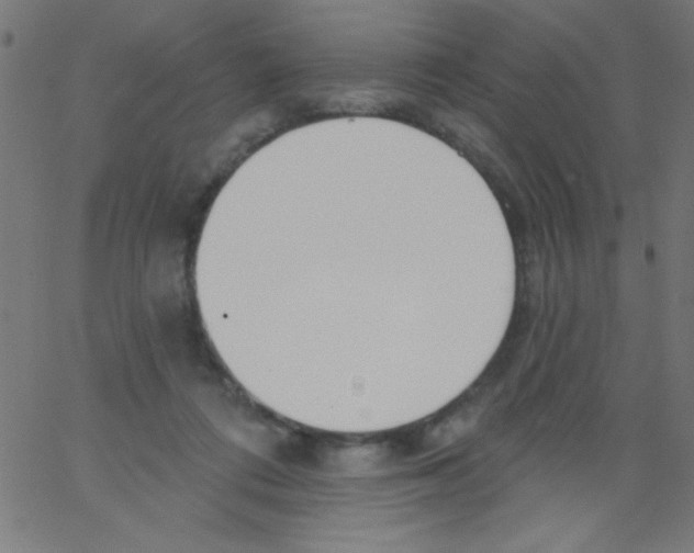 X0000067390312200604281849