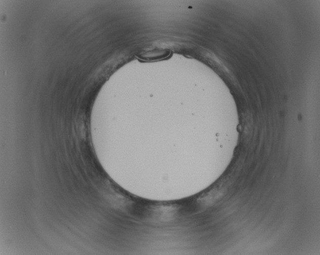 X0000067390313200604281849