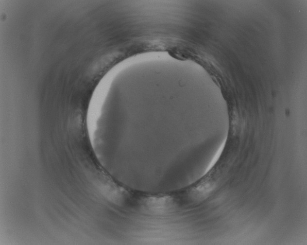 X0000067390314200604281849