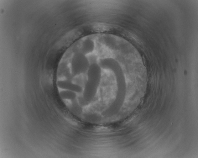 X0000067390315200604281849