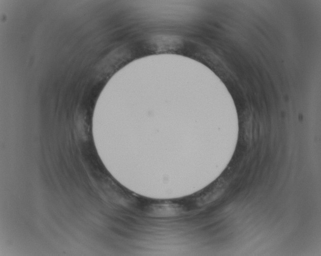 X0000067390316200604281849