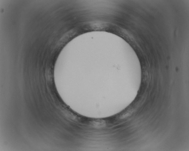 X0000067390317200604281849