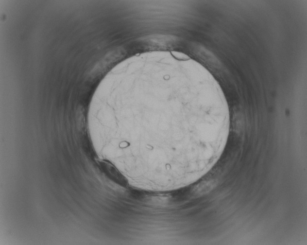 X0000067390318200604281849