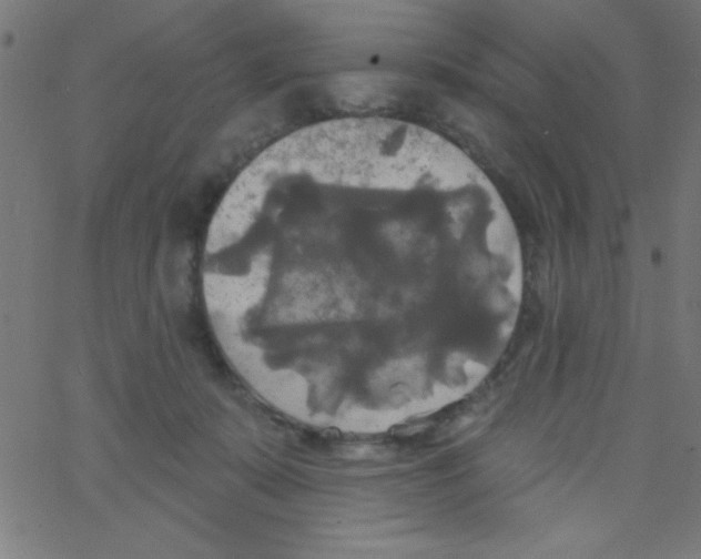 X0000067390319200604281849