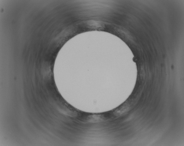 X0000067390320200604281849