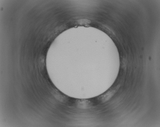 X0000067390321200604281849