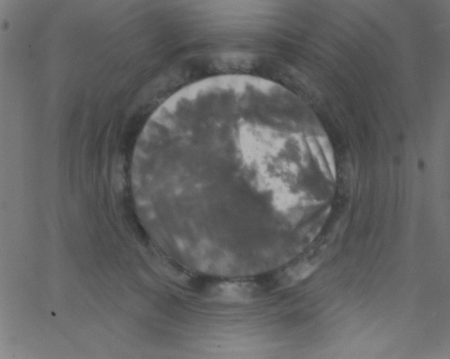 X0000067390323200604281849