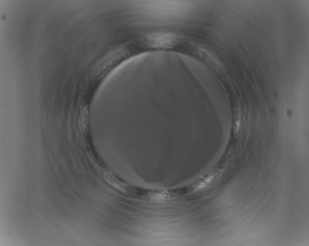 X0000067390325200604281849