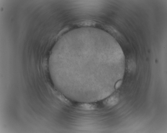 X0000067390326200604281849