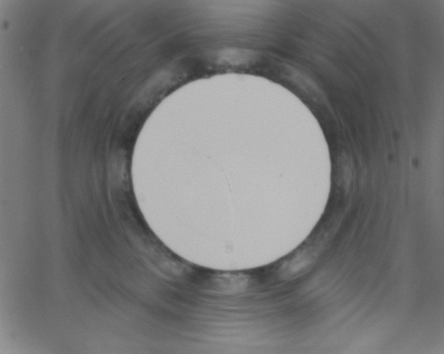 X0000067390328200604281849