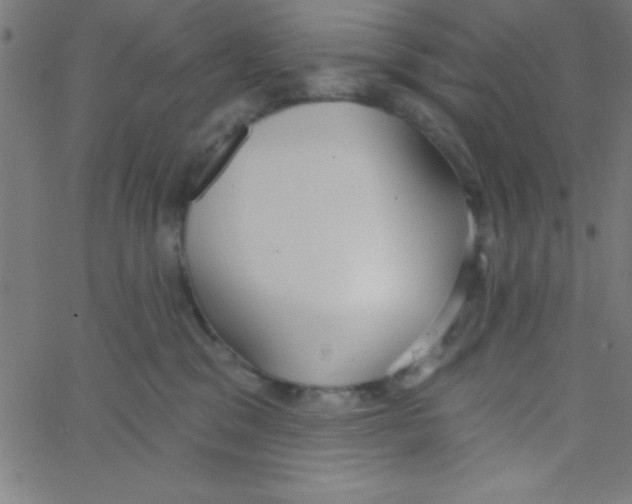 X0000067390329200604281849