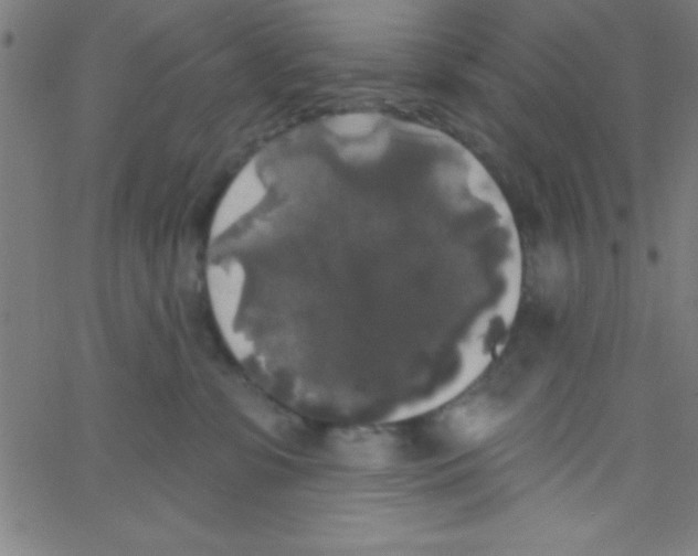 X0000067390331200604281849