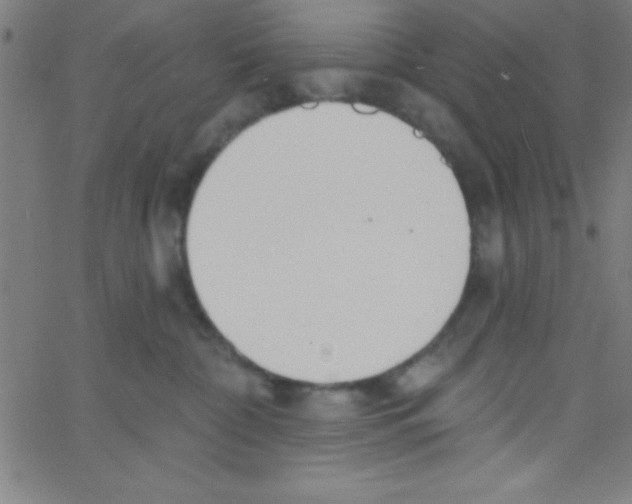 X0000067390332200604281849